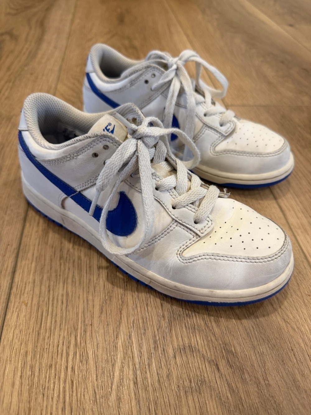 Youth Nike Dunk Low Sneakers Size 3Y